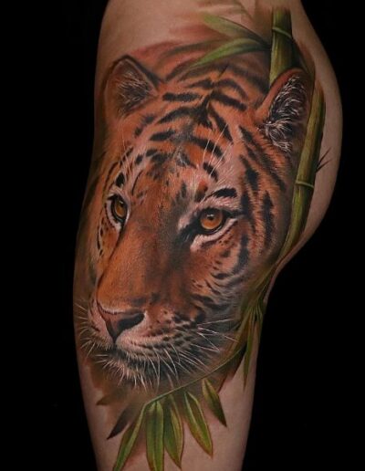 tiger tattoo